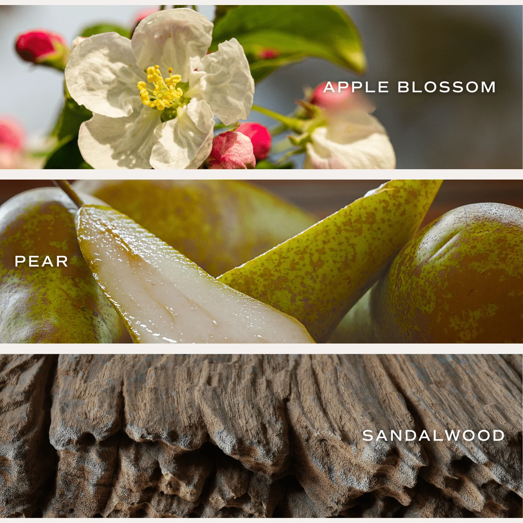 Gold Floral Soy Candle - White Translucent Tinted Glass Jar - 12 oz (Fresh Apple Blossom) - Image 3