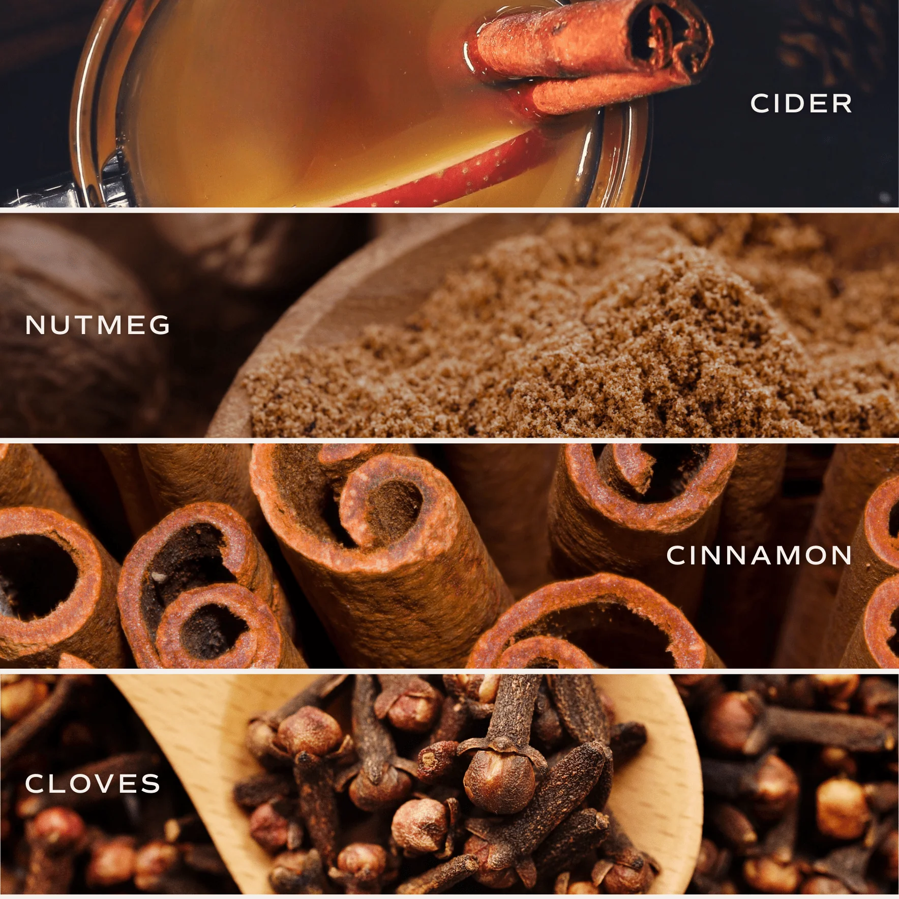 Hello Fall Clear Reed Diffuser - Image 6