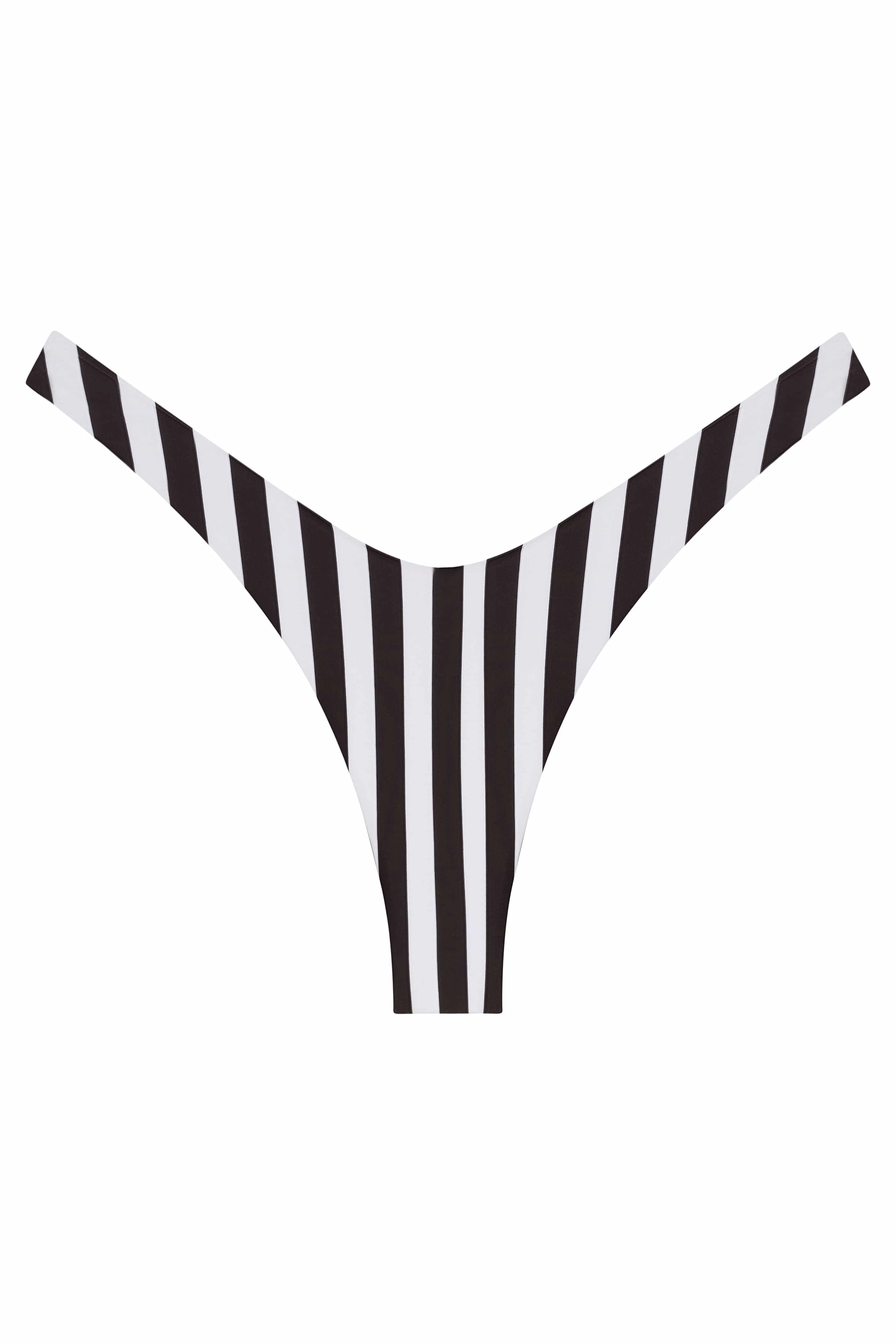 Ludisia Bottom