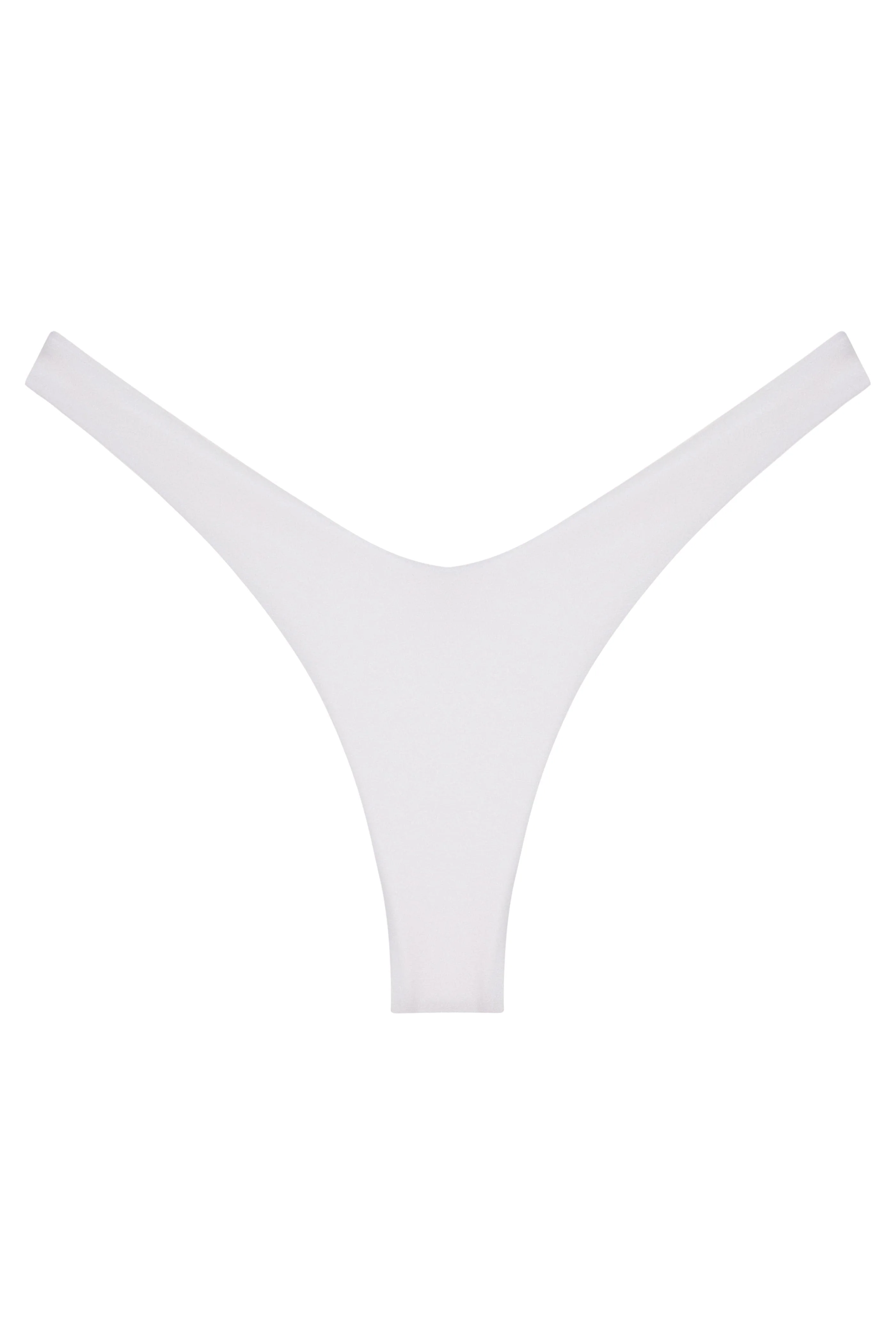 Ludisia Bottom - Image 2